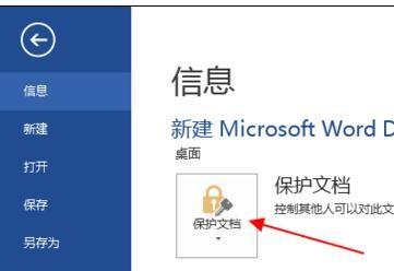 word2013文档如何进行加密保护