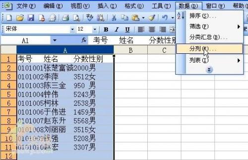 灵活运用Excel把有规律地文本数据分列