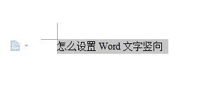 word字体横竖变换怎么设置?