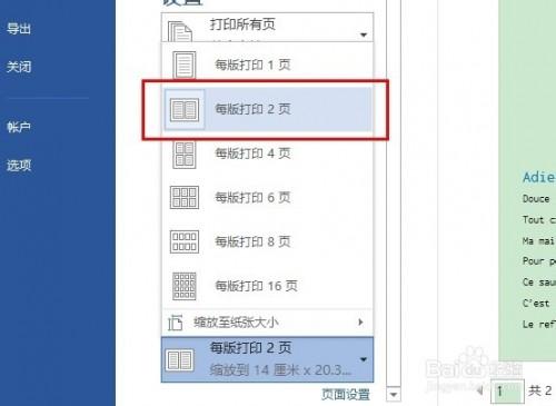 Word2010如何将两页打到一页上