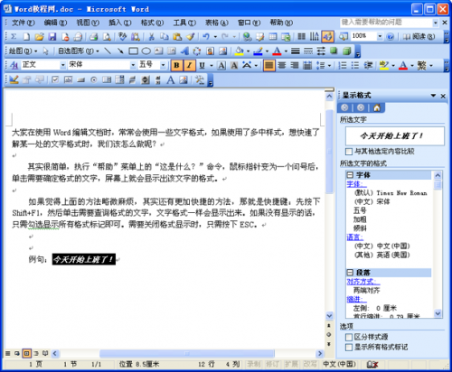 Word文档中的文字格式