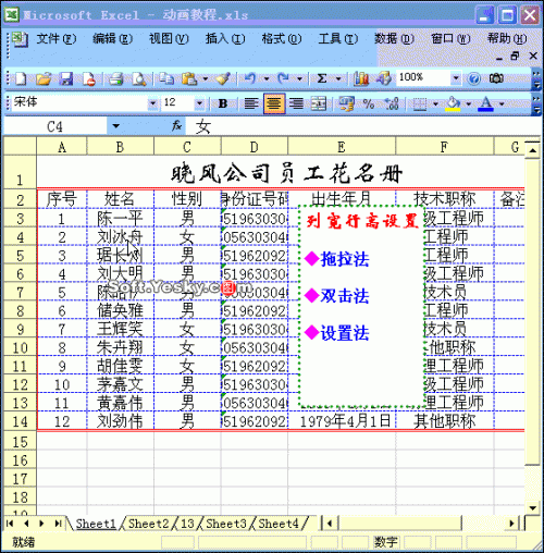 Excel表格设置列宽.行高动画教程