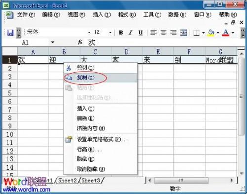 Excel2003中怎么将行中的数据复制到列中