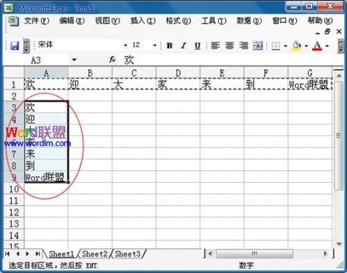 Excel2003中怎么将行中的数据复制到列中