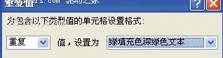 Excel2007中重复数据查找方法