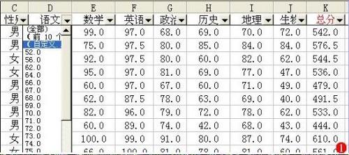 Excel筛选功能应用