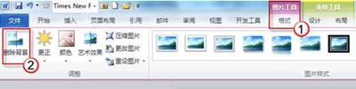 巧用Word2010处理图片背景