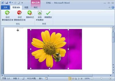 巧用Word2010处理图片背景