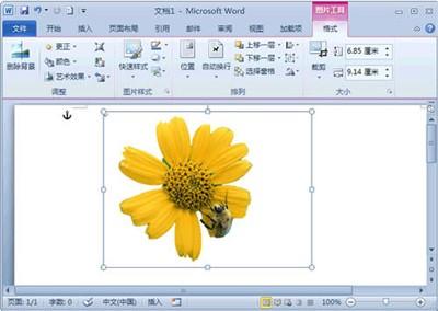 巧用Word2010处理图片背景