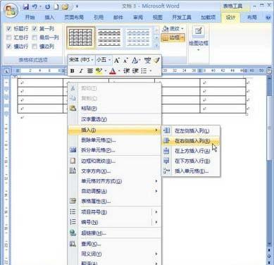 Word2007:插入表格的行与列