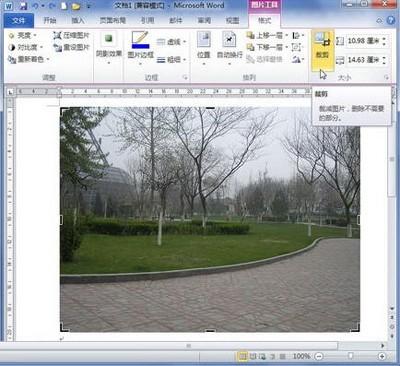 Word2010怎么裁剪图片