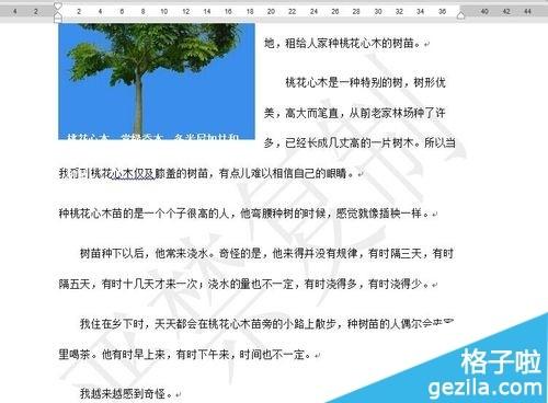 Word文档怎么给图片加水印