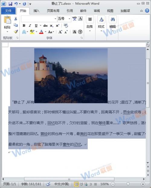 怎么把Word的内容以图片格式插入到Excel2010中?