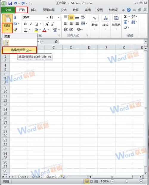 怎么把Word的内容以图片格式插入到Excel2010中?