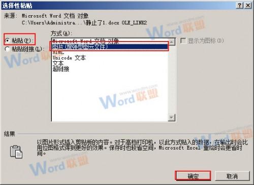 怎么把Word的内容以图片格式插入到Excel2010中?