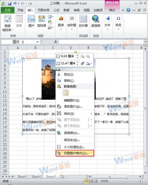 怎么把Word的内容以图片格式插入到Excel2010中?