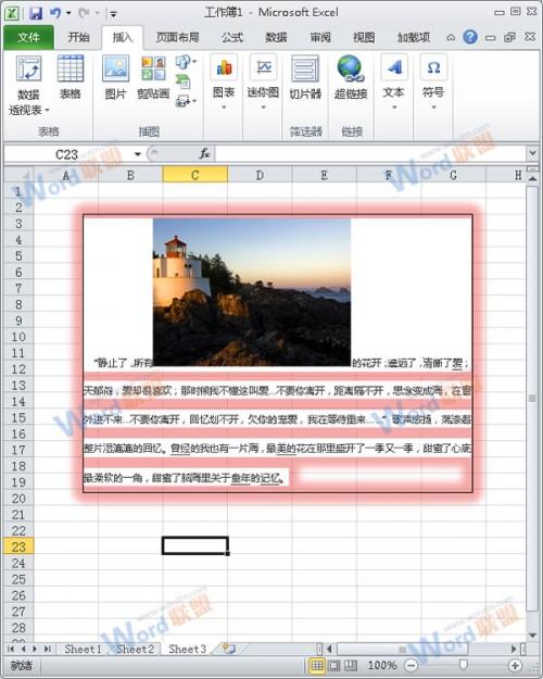 怎么把Word的内容以图片格式插入到Excel2010中?