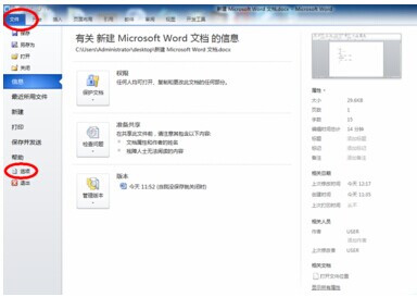 Word2010如何插入复选框