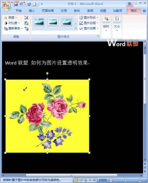 如何用Word抠图或去除背景色