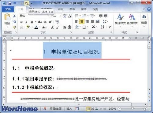 在Word2010文档中对照不同文本的格式