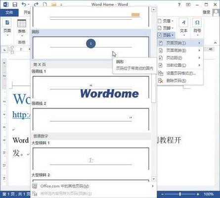 如何在Word2013中插入多种样式的页码