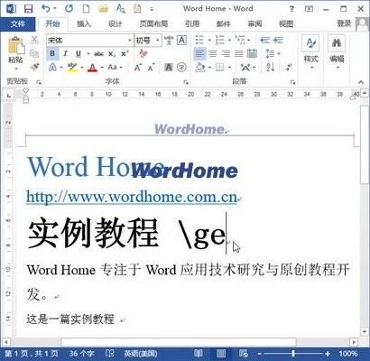 Word2013使用