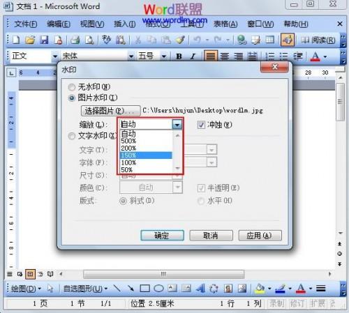 Word2003图片水印的添加方法