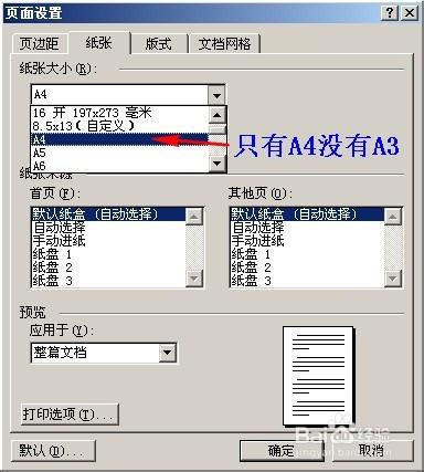 word页面设置里没有A3纸格式怎么办 word怎么设置成a3