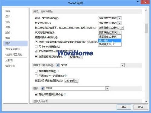 Word2013如何设置从其他程序粘贴时的格式选项