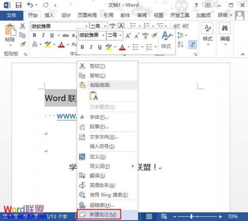 Word2013中如何插入批注并显示出来?