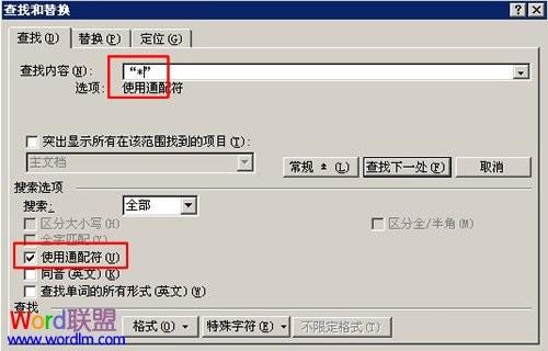 在Word2003中使用通配符进行模糊替换