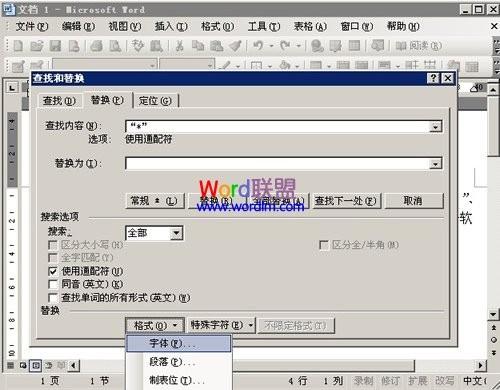 在Word2003中使用通配符进行模糊替换