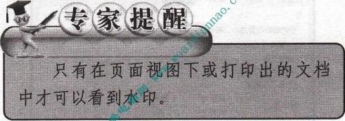 Word中如何使用水印功能