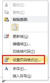 Word2010从指定页设置页码