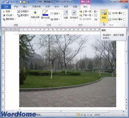 word2010如何裁剪图片
