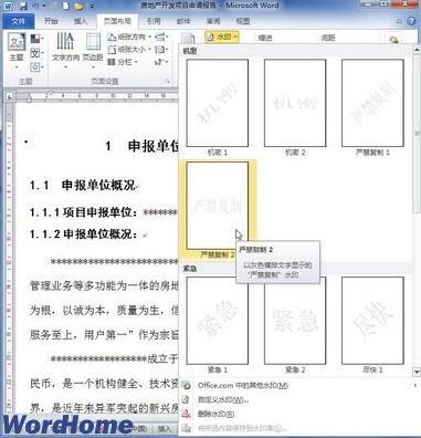 word2010添加和删除水印