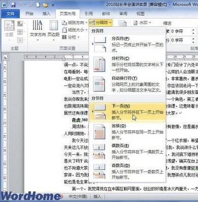 word2010怎么插入分节符