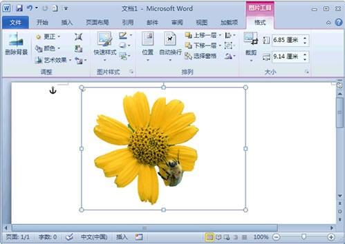 Word 2010去除图片背景小技巧