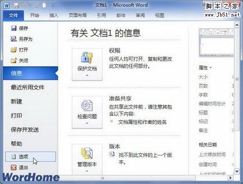 如何使用Word2010文档中