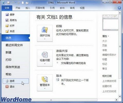 在Word2010文档窗口显示