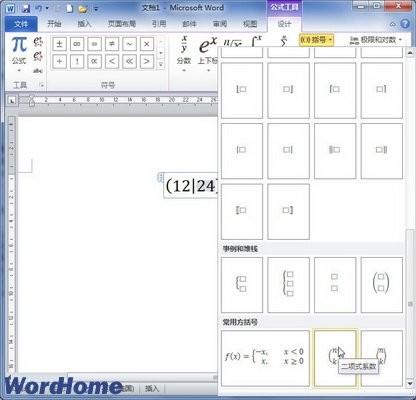 在Word2010文档中创建包含括号的公式