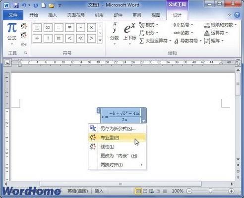 在Word2010中切换专业型和线性公式布局