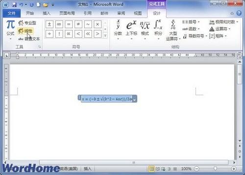 在Word2010中切换专业型和线性公式布局