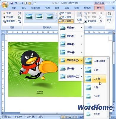 Word 2007技巧:设置图片柔化边缘效果