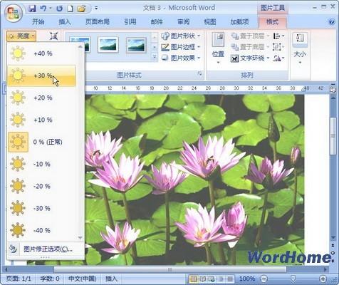 Word 2007技巧:设置图片亮度