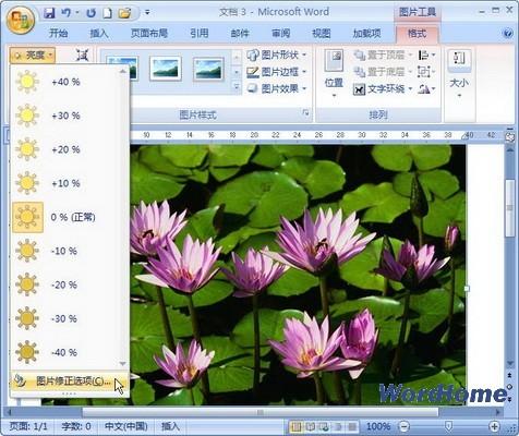 Word 2007技巧:设置图片亮度