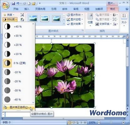 Word 2007技巧:设置图片对比度