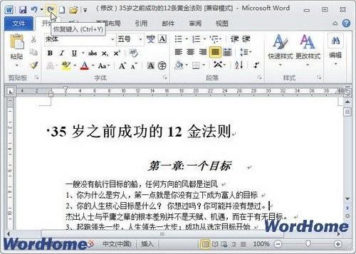 在Word2010中使用