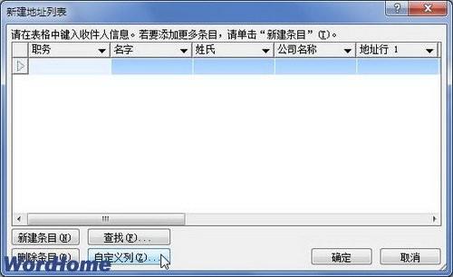 在Word2010中自定义地址列表字段