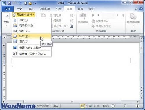 在Word2010文档中设置标签选项